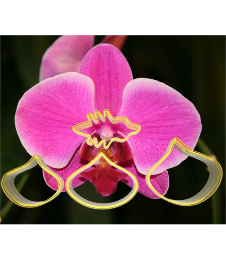 Orkide Çiçeği Yapma Seti, Polikarbon